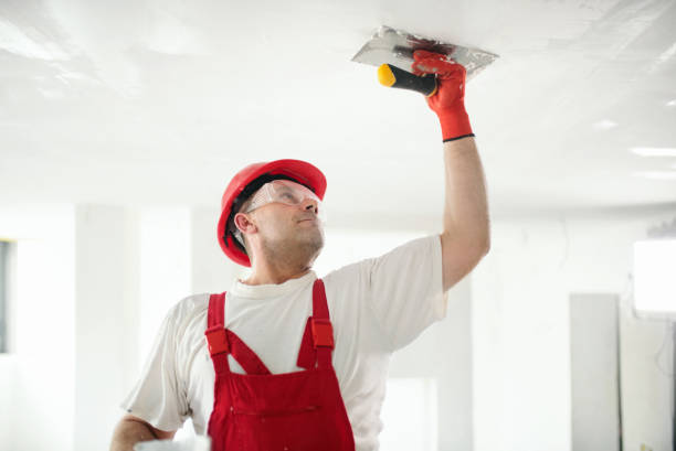 Best Post-Remediation Verification Testing  in Sterling Ranch, CO