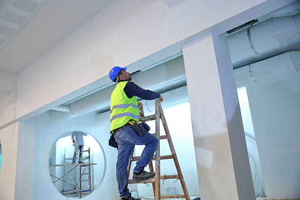 Best Mold Remediation for Rental Properties  in Sterling Ranch, CO